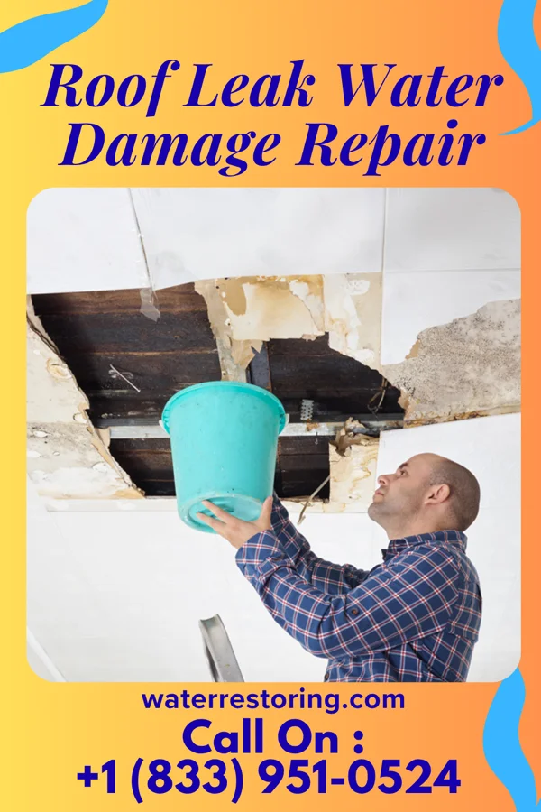 Roof Leak Water Damage Repair in Hilltop, SC