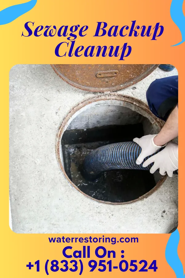 Sewage Backup Cleanup in Hilltop, SC