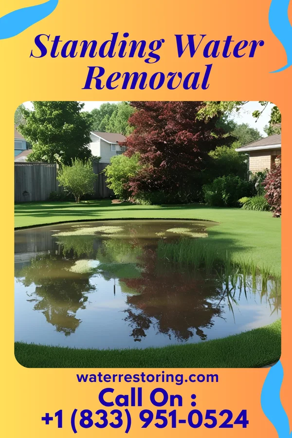 Standing Water Removal in Hilltop, SC